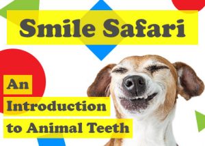 Animal-Teeth