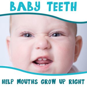 Baby-Teeth